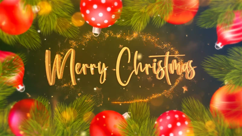 Merry Christmas and Happy New Year Festive Opener 11 merry christmas and happy new year festive opener5