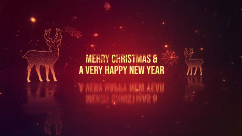 Merry Christmas and Happy New Year Festive Opener 13 merry christmas and happy new year festive opener7