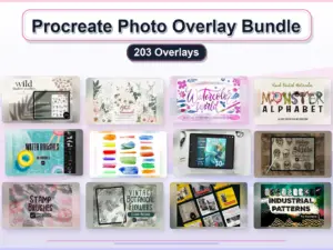 procreate photo overlay bundle 203 overlays collage 0f19dbdd 1779182519