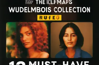 unlock your creative edge the ultimate wudelmbois collection 1664