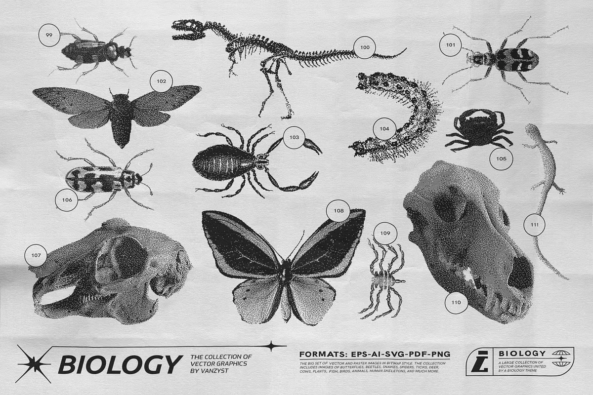 125 Vector Bitmap Assets. Biology 3 125 Vector Bitmap Assets. Biology - Image 3