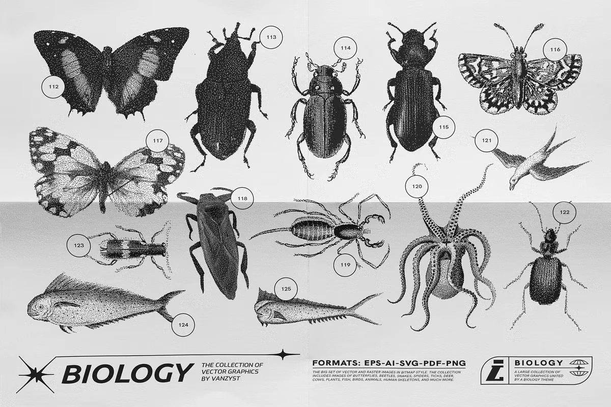 125 Vector Bitmap Assets. Biology 4 125 Vector Bitmap Assets. Biology - Image 4
