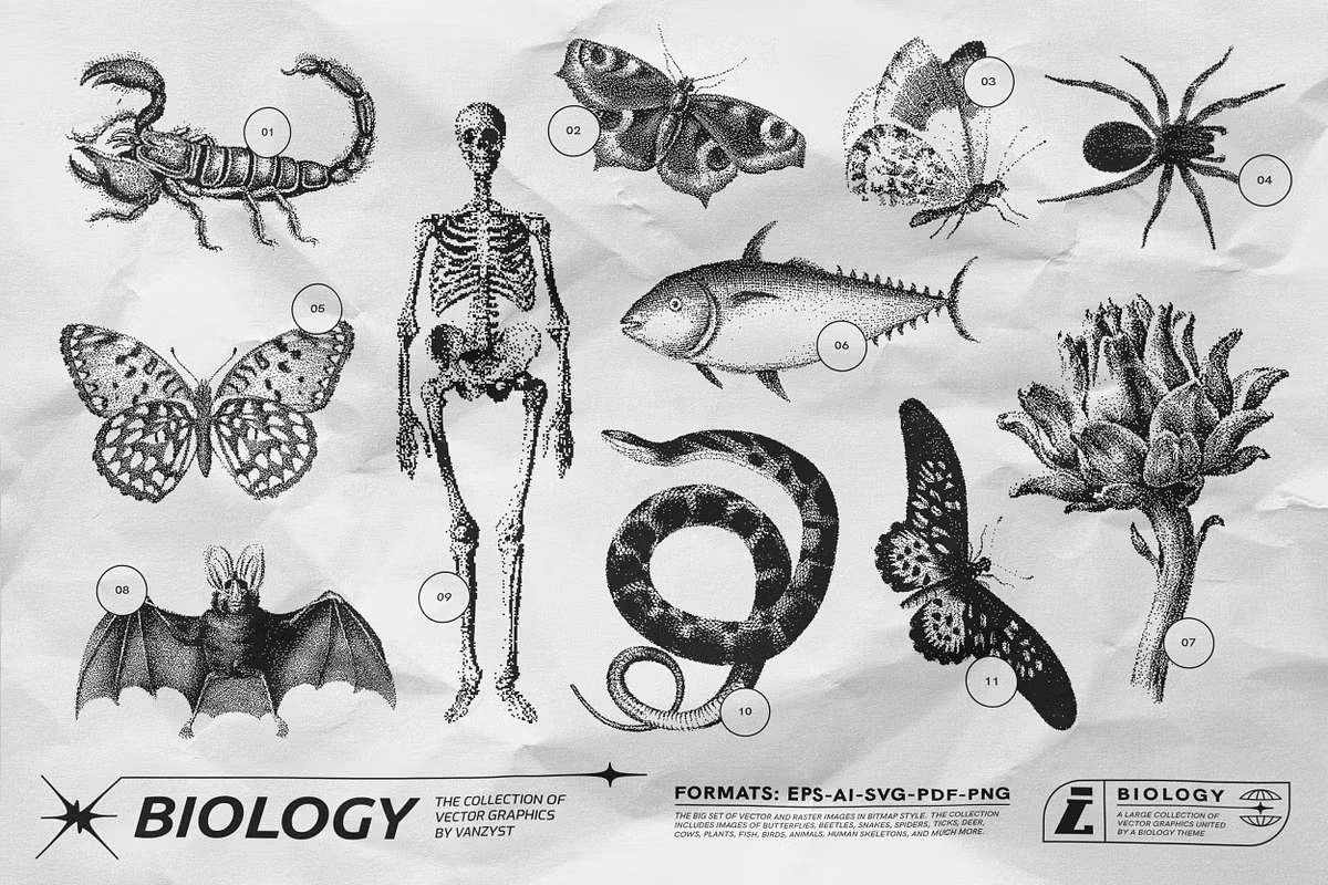 125 Vector Bitmap Assets. Biology 9 125 Vector Bitmap Assets. Biology - Image 9