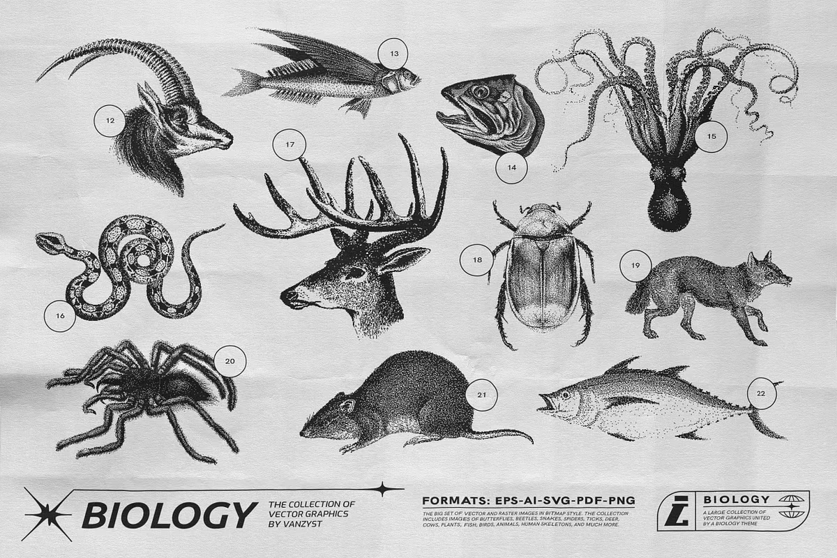 125 Vector Bitmap Assets. Biology 10 125 Vector Bitmap Assets. Biology - Image 10