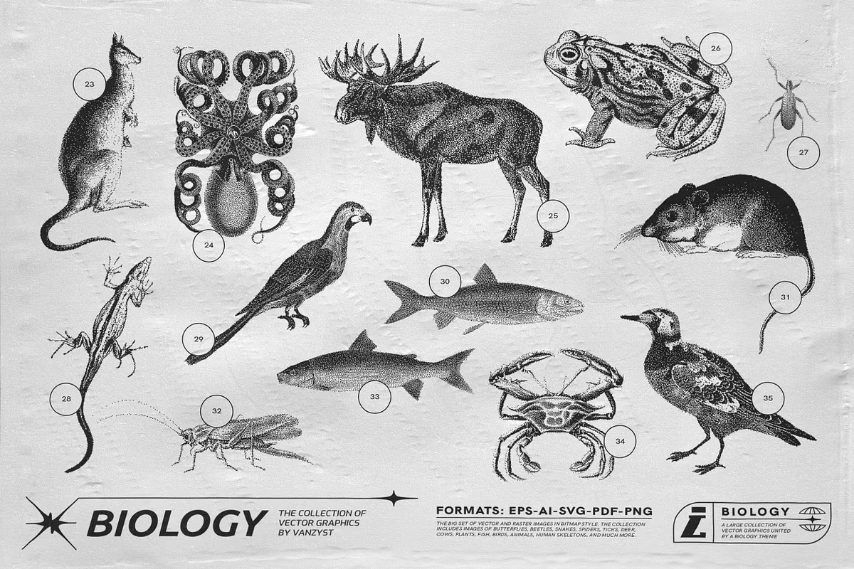125 Vector Bitmap Assets. Biology 11 125 Vector Bitmap Assets. Biology - Image 11