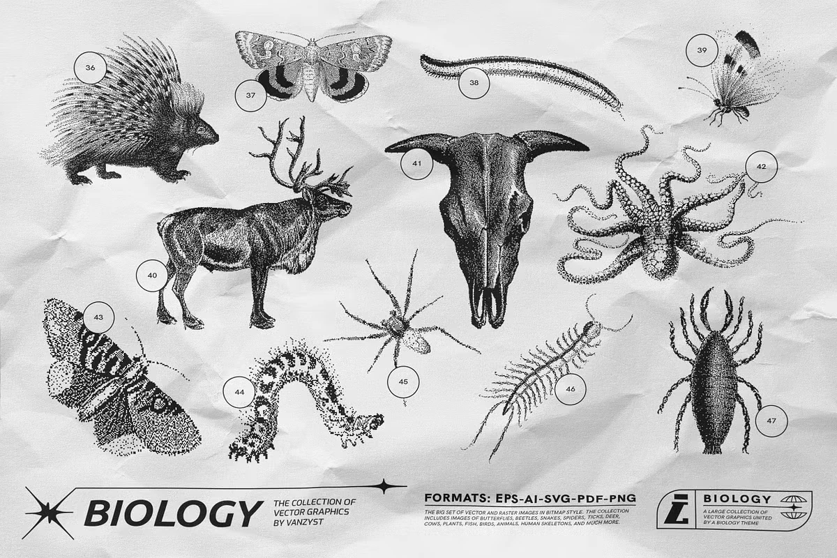 125 Vector Bitmap Assets. Biology 12 125 Vector Bitmap Assets. Biology - Image 12