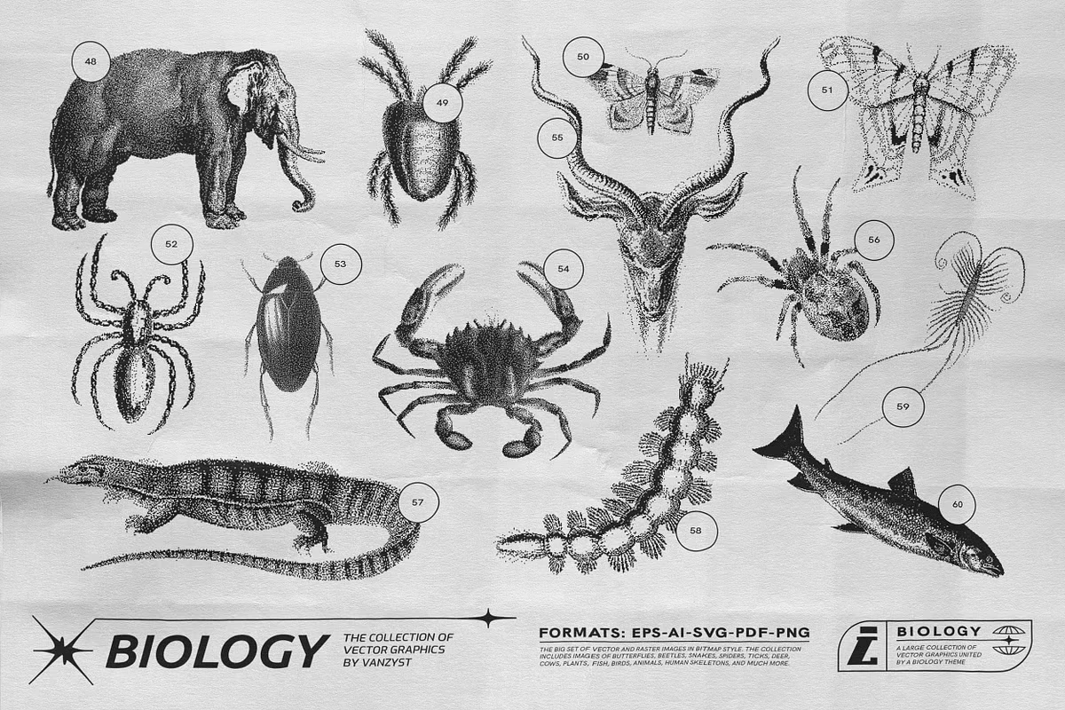 125 Vector Bitmap Assets. Biology 13 125 Vector Bitmap Assets. Biology - Image 13