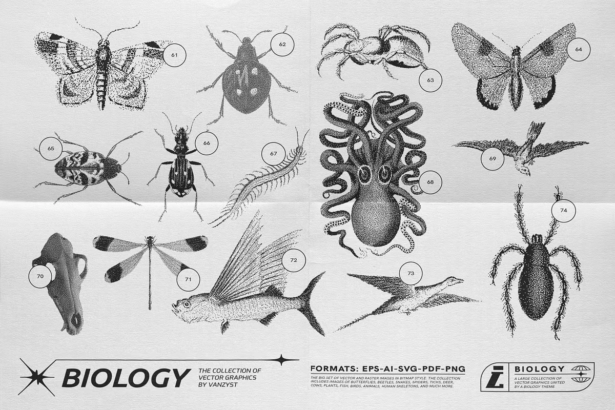 125 Vector Bitmap Assets. Biology 14 125 Vector Bitmap Assets. Biology - Image 14