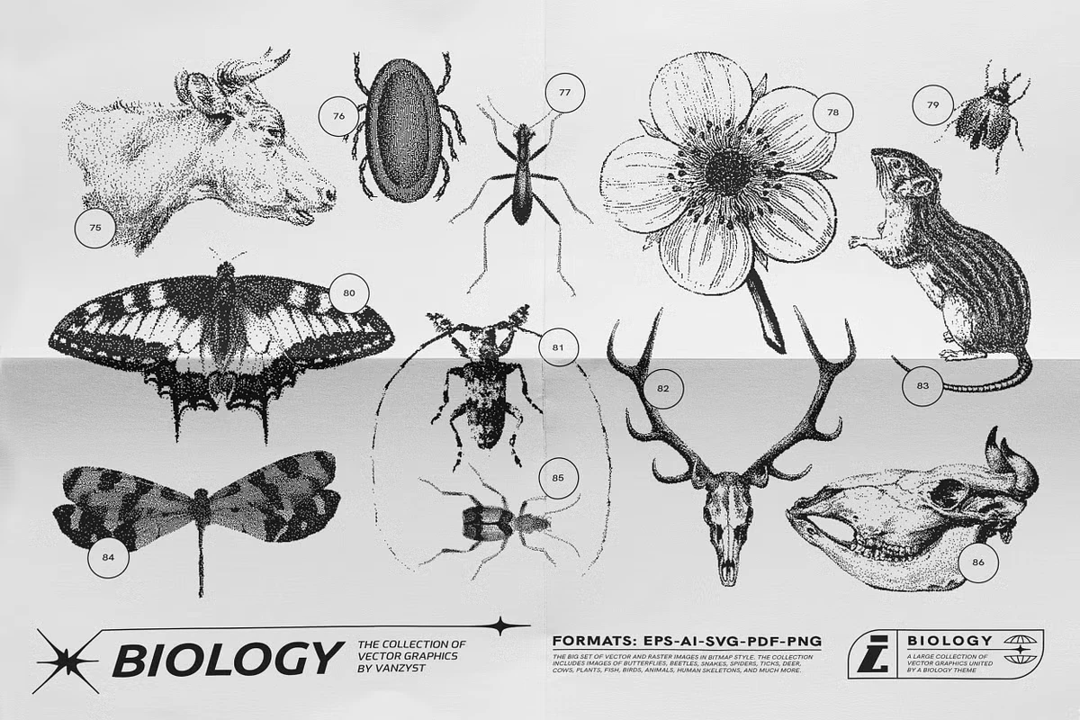 125 Vector Bitmap Assets. Biology 15 125 Vector Bitmap Assets. Biology - Image 15
