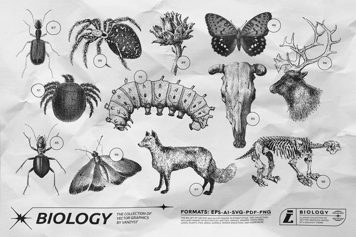 125 Vector Bitmap Assets. Biology 16 125 Vector Bitmap Assets. Biology - Image 16