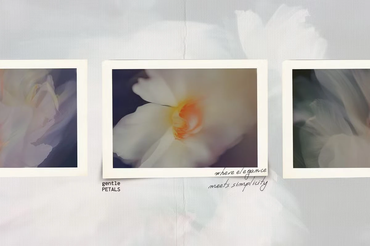 Blurred BLOSSOM backgrounds 8 Blurred BLOSSOM backgrounds - Image 8