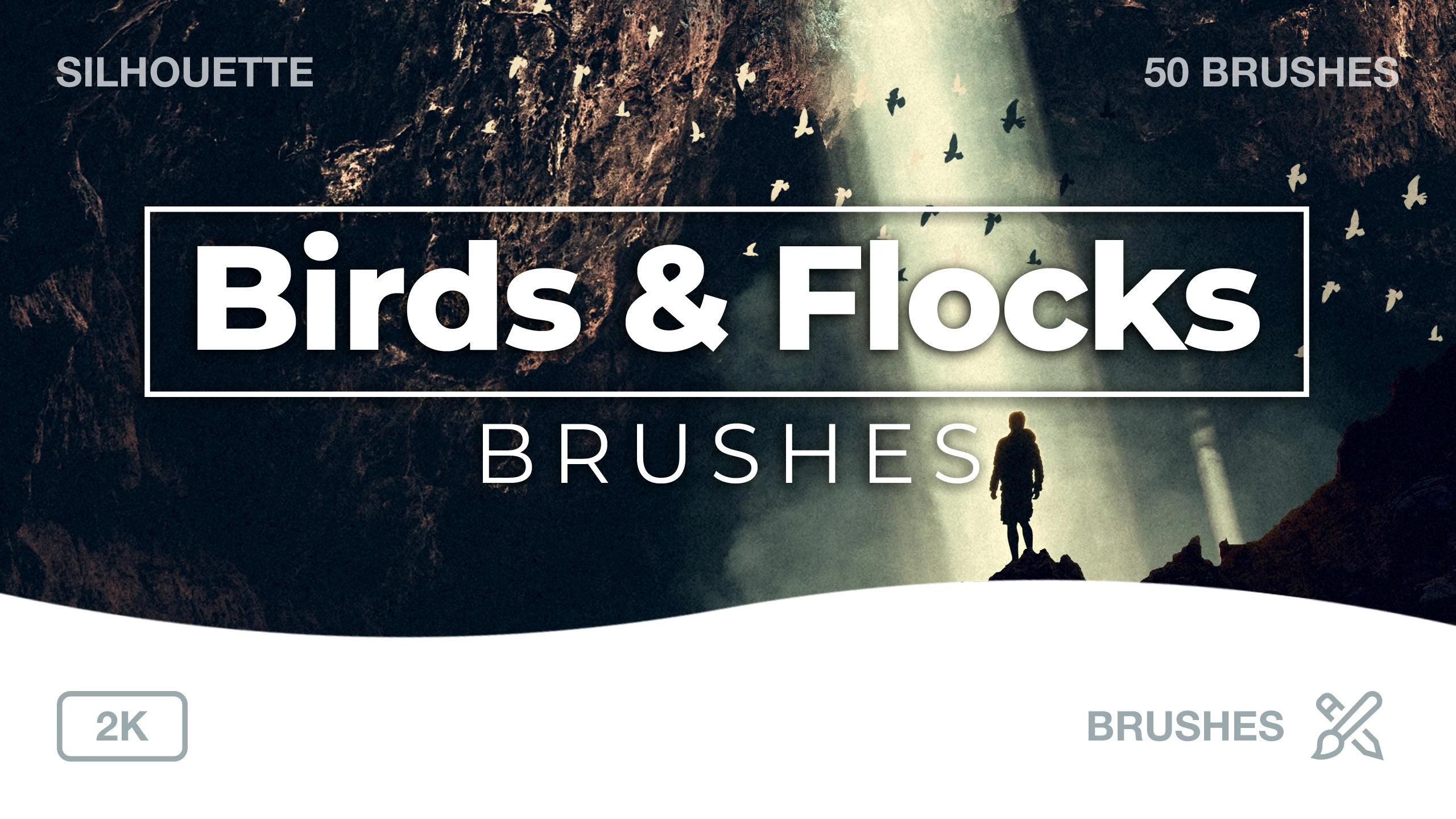 Birds and Flocks Silhouette Brushes