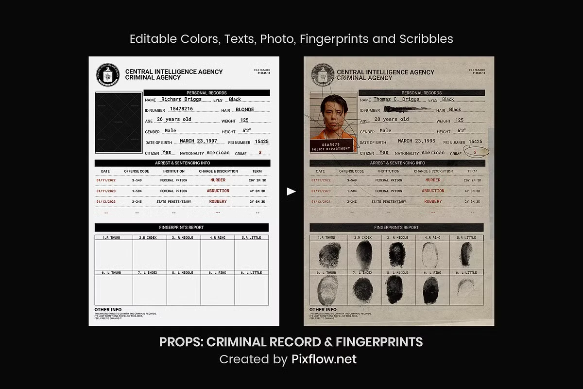 Criminal Record & Fingerprints 5 Criminal Record & Fingerprints - Image 5