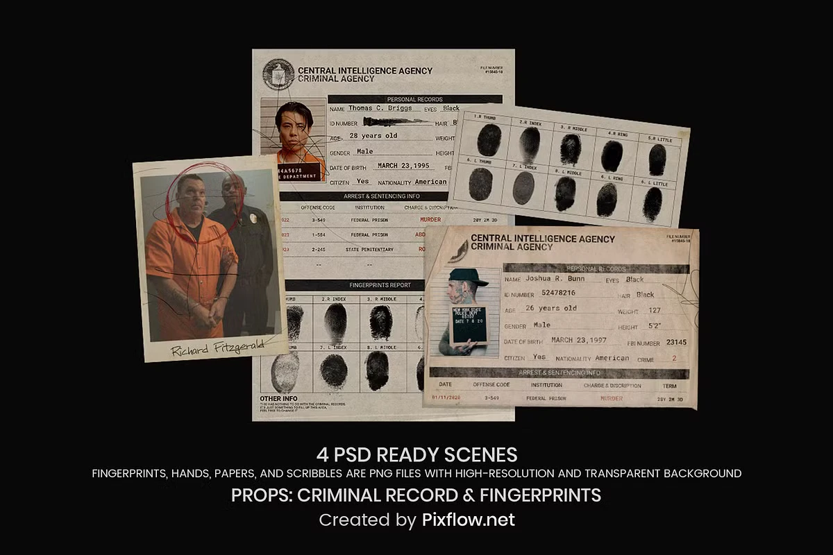 Criminal Record & Fingerprints 9 Criminal Record & Fingerprints - Image 9
