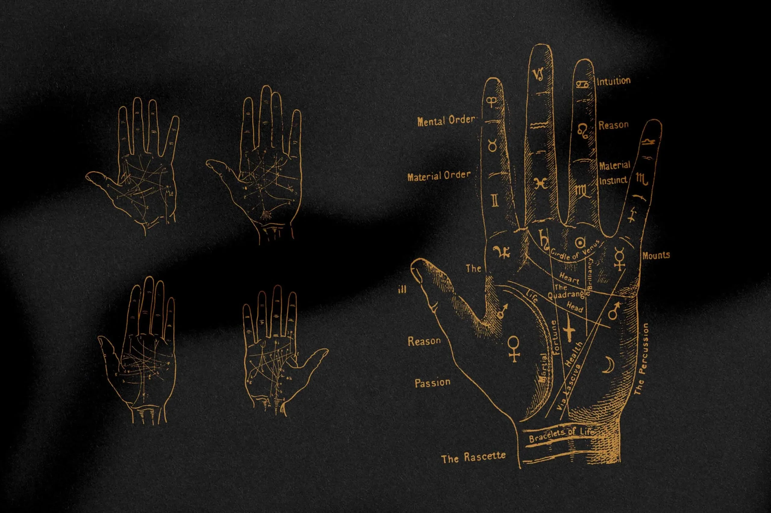 Palmistry Zodiac & Occult 4 Palmistry Zodiac & Occult - Image 4