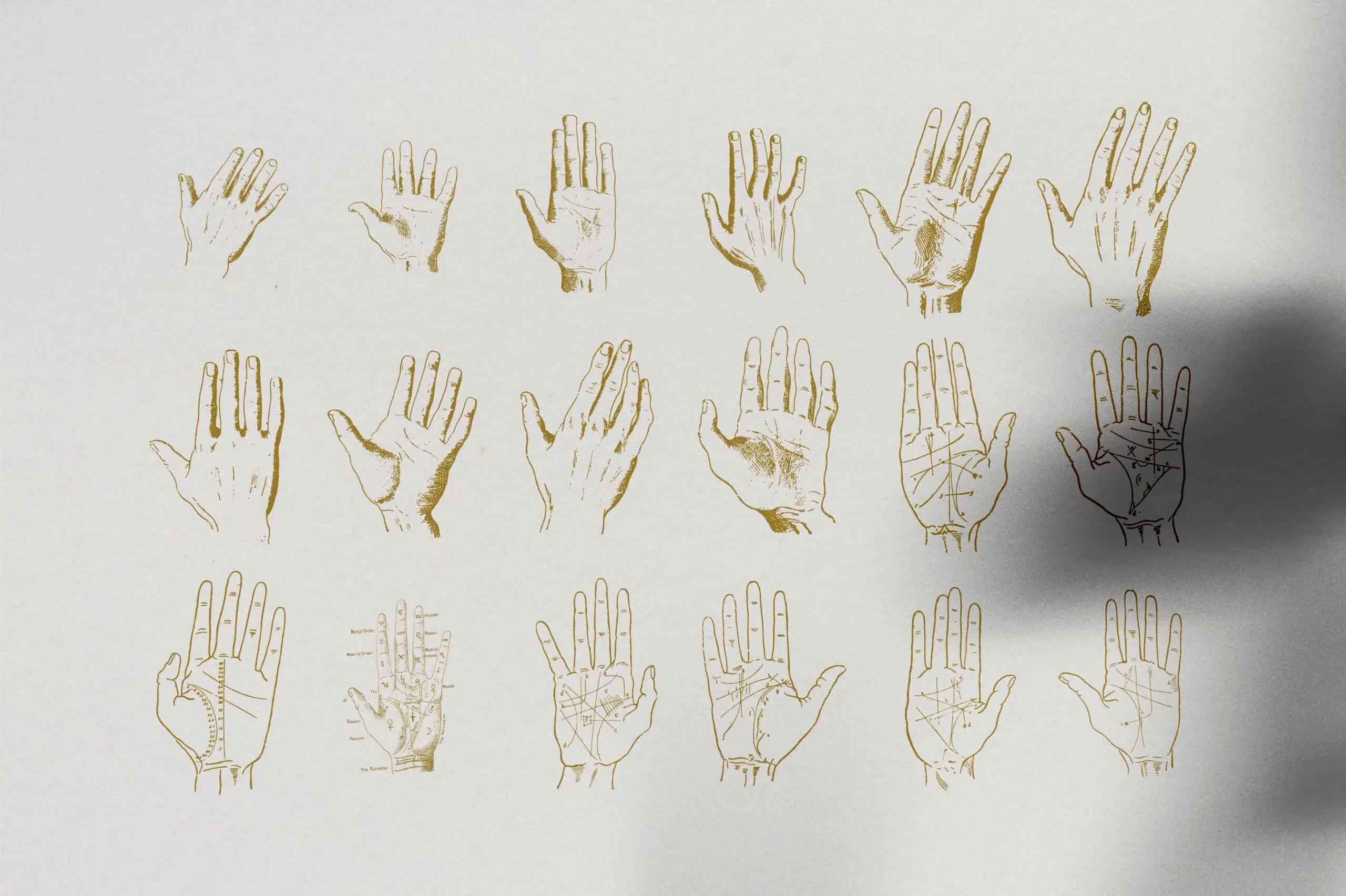 Palmistry Zodiac & Occult 5 Palmistry Zodiac & Occult - Image 5