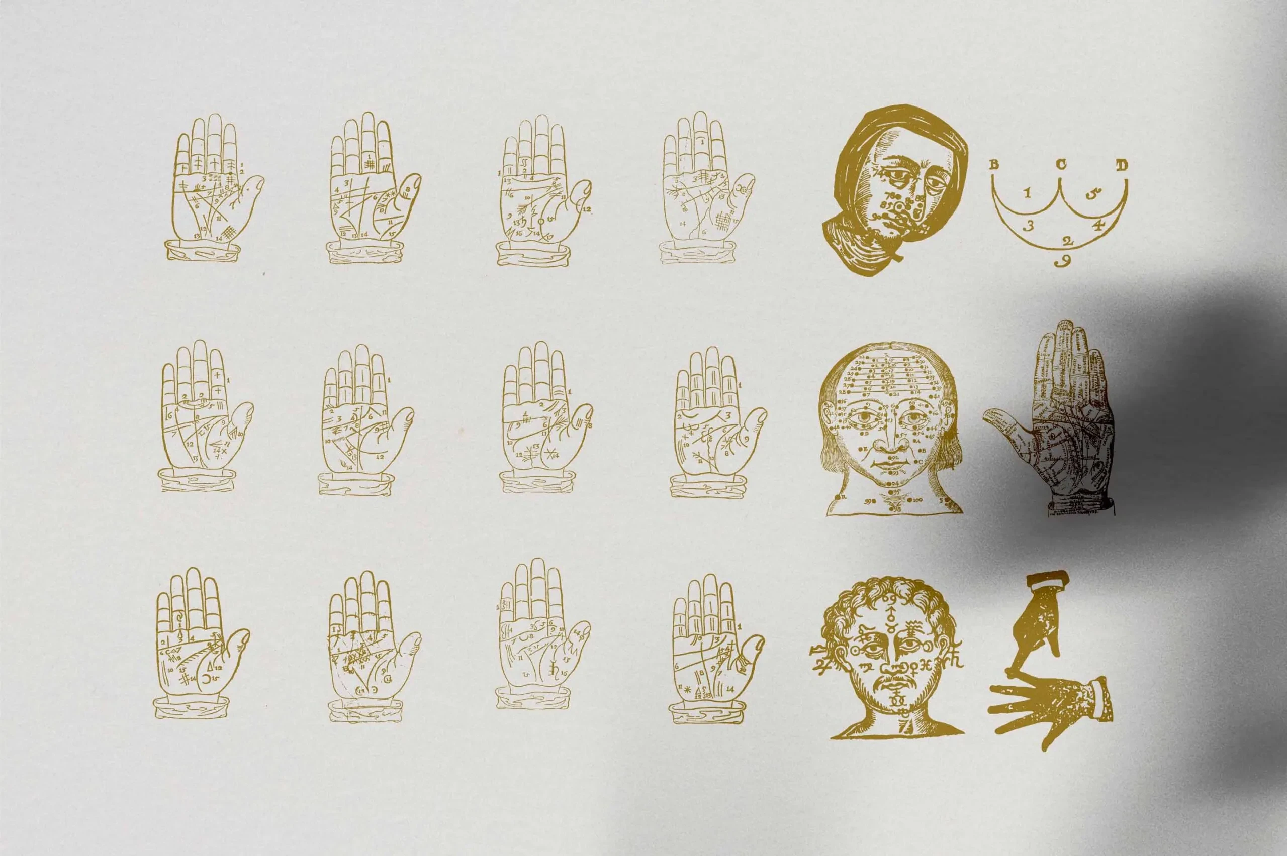 Palmistry Zodiac & Occult 13 Palmistry Zodiac & Occult - Image 13