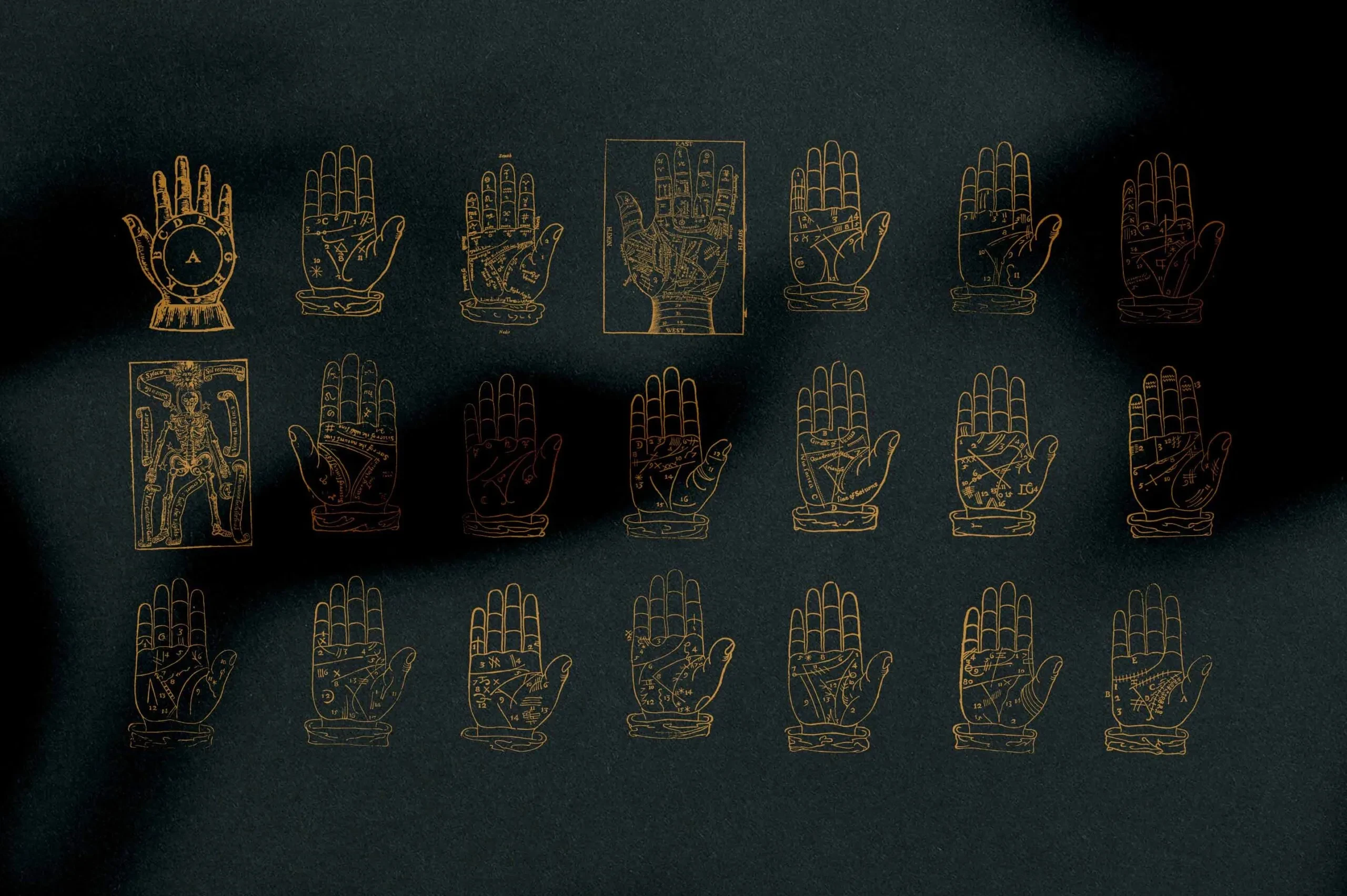 Palmistry Zodiac & Occult 15 Palmistry Zodiac & Occult - Image 15