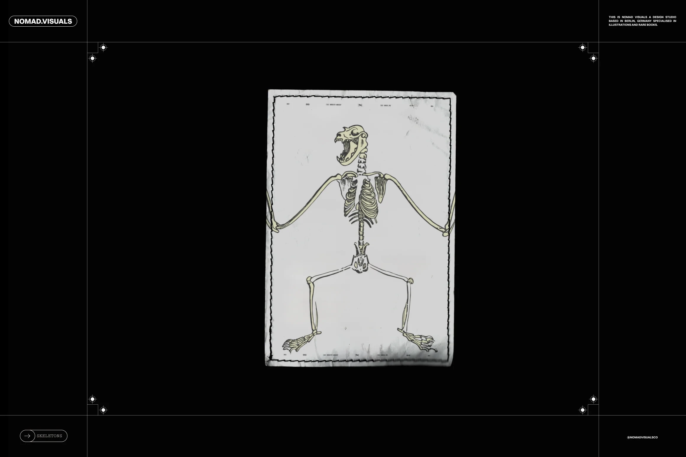 Skeletons & Bones 4 Skeletons & Bones - Image 4