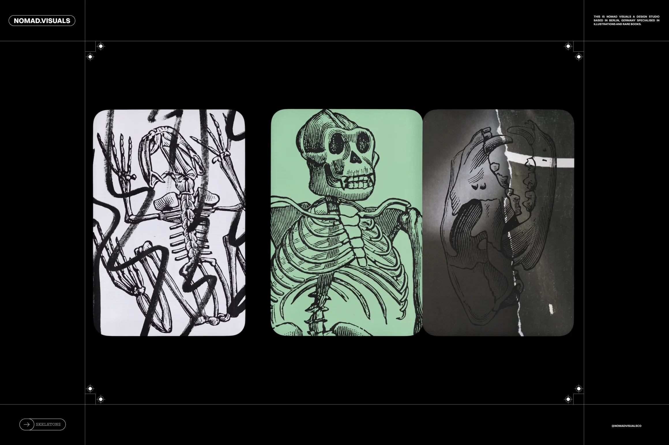 Skeletons & Bones 7 Skeletons & Bones - Image 7