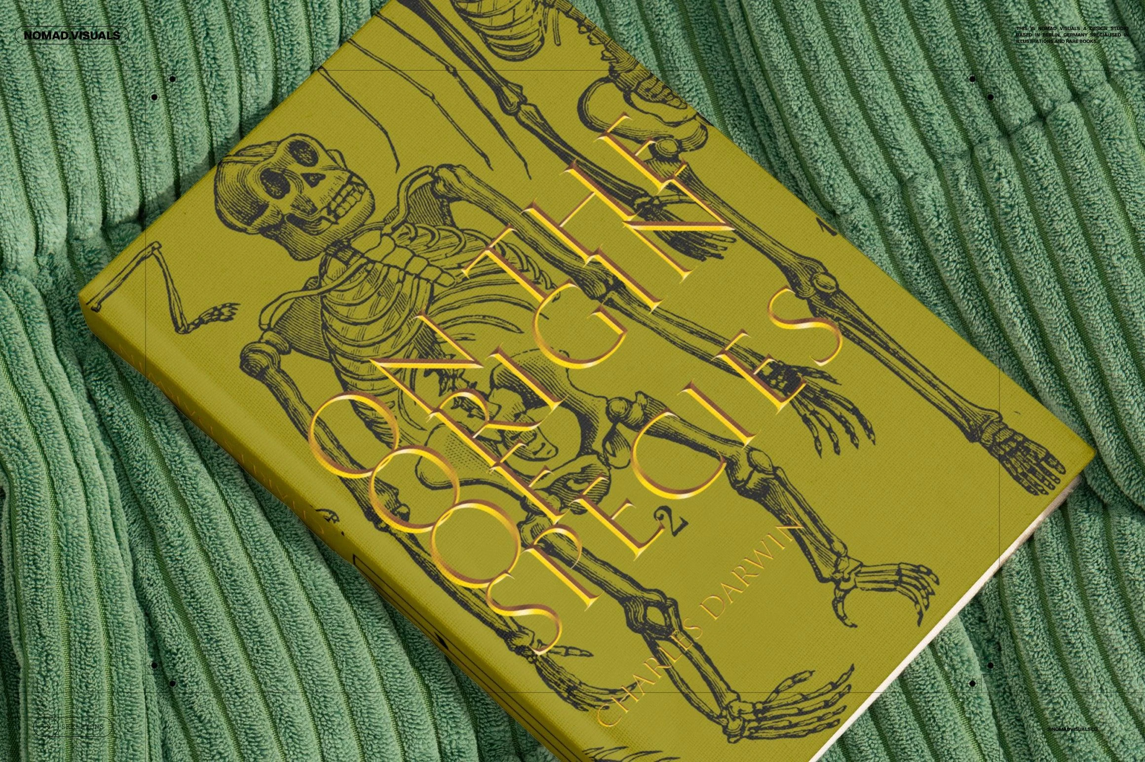 Skeletons & Bones 10 Skeletons & Bones - Image 10