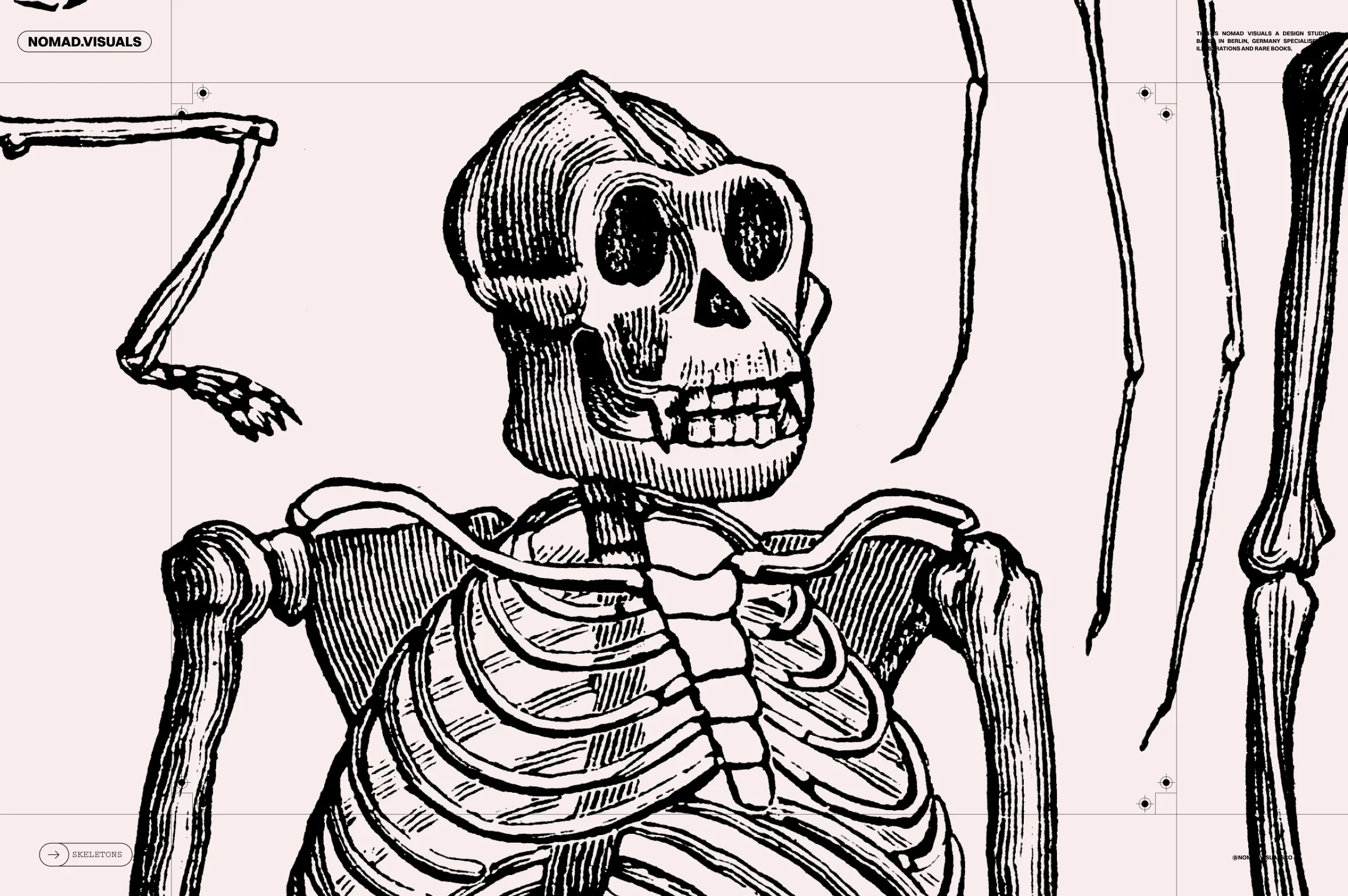 Skeletons & Bones 12 Skeletons & Bones - Image 12