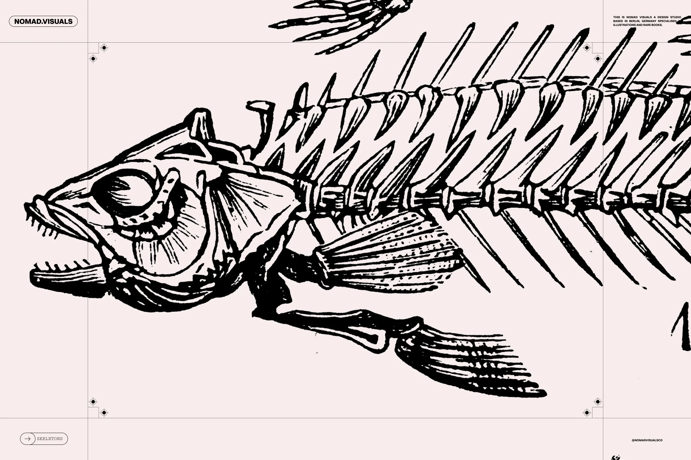 Skeletons & Bones 15 Skeletons & Bones - Image 15