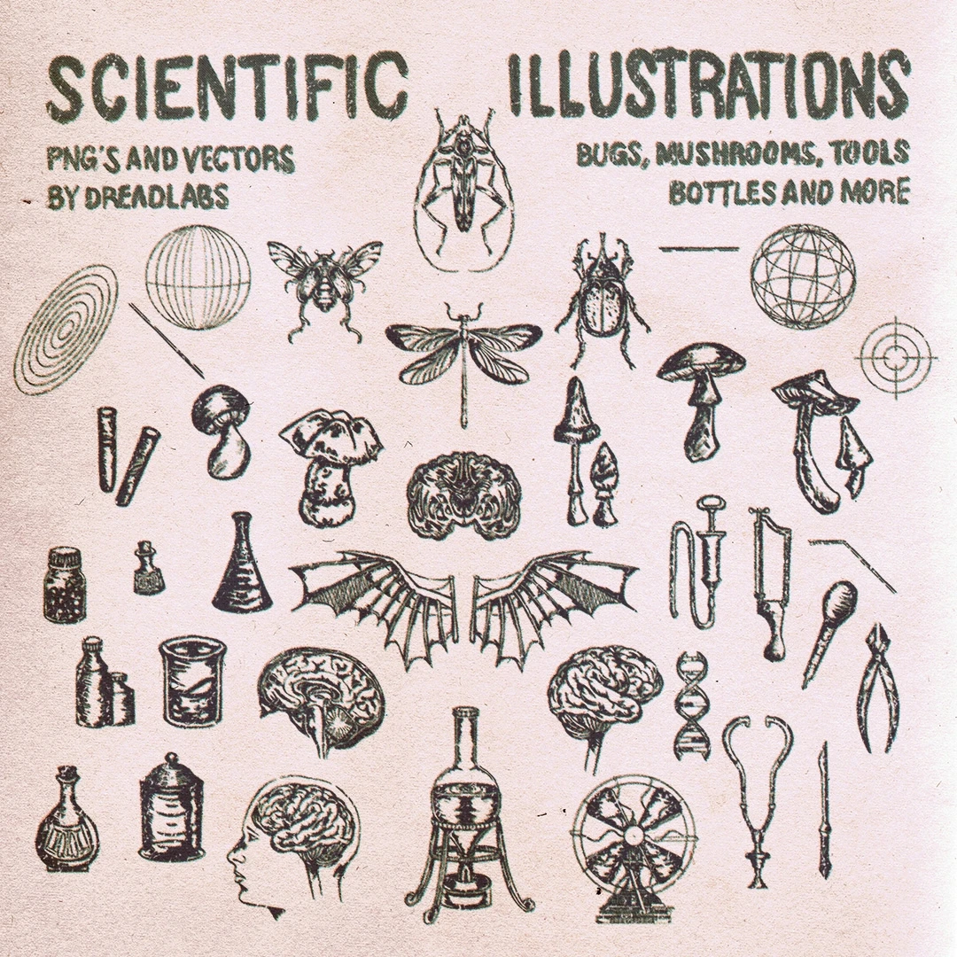 Scientific Illustrations 3 Scientific Illustrations - Image 3