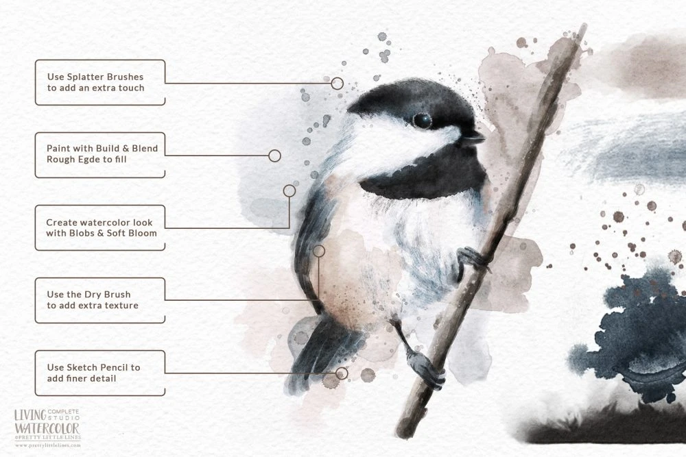 Living Watercolor – The Complete Watercolor Studio 6 Living Watercolor – The Complete Watercolor Studio - Image 6