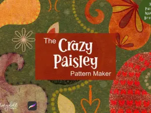 the crazy paisley pattern maker3