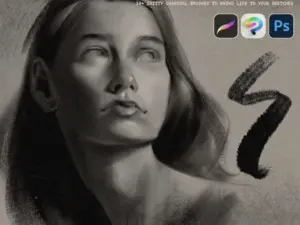 lp charcoal brushes for procreate