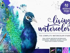 procreate watercolor brush studio