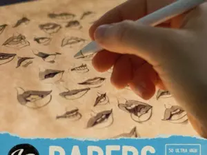 lp papers cover