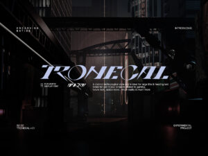 tronecal display font1 67370