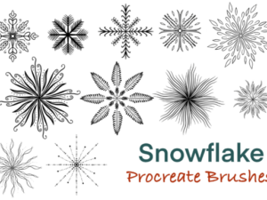 christmas snowflake procreate brush set 73770